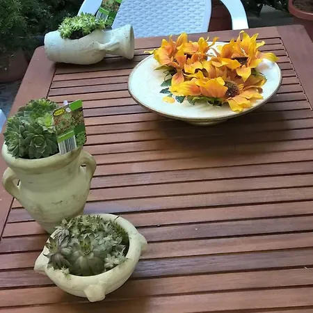 Casa Liliana Holiday home